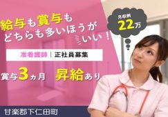 【甘楽郡下仁田町】住宅型有料老人ホームの看護師【JOB ID：241-8-ns-f-jn-bbb】 イメージ
