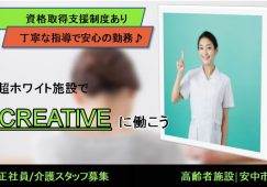 【安中市】住宅型有料老人ホーム/デイ/ヘルパーステーションの介護職【JOB ID：366-1-ca-f-sy-aaa】 イメージ