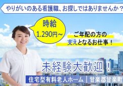 【甘楽郡甘楽町】住宅型有料老人ホームの看護師【JOB ID：241-3-ns-p-jn-nor】 イメージ