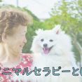 ～アニマルセラピーとは～ イメージ