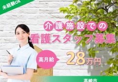 【高崎市】デイサービスセンターの看護師【JOB ID：915-2-ns-f-jn-bbb】 イメージ