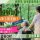 【佐野市】住宅型有料老人ホームの介護職【JOB ID：81-28-ca-f-sy-aaa】 イメージ